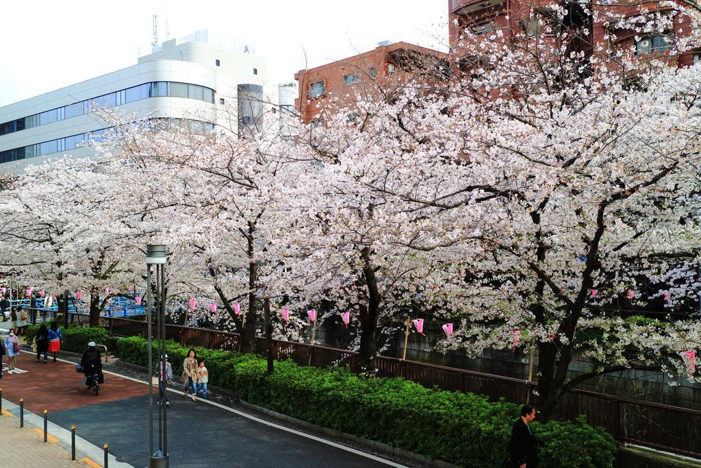 Appartement Coto Shibuya